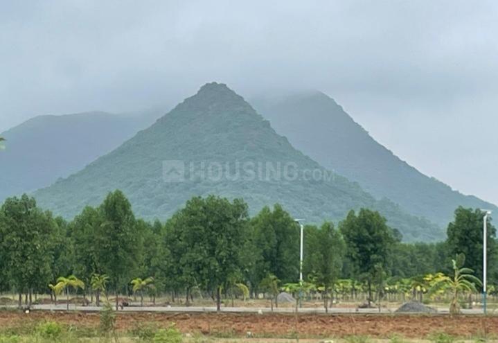 Leo valley Main Image 1