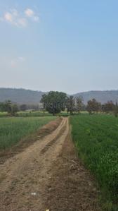 Image of 5000 Sq.ft 1 RK Farm House for sale in Homeland IIT Town Simrol, Simrol, Indore for Rs. 1500000