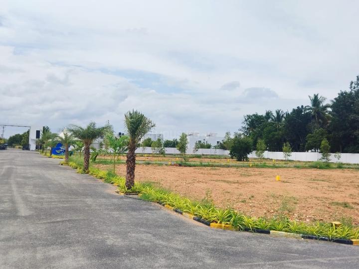 Kalapatti Main Image 1