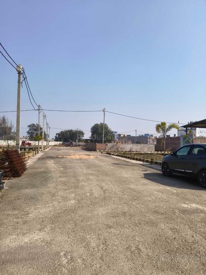 Papnamow Main Image 1