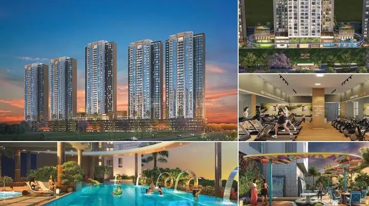 Livience Aleenta Main Image 1