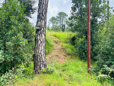 Image of 2700 Sq.ft Residential Plot / Land for sale in Mukteshwar, Nainital for Rs. 3750000
