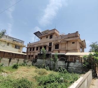 Green Field Plot View 2