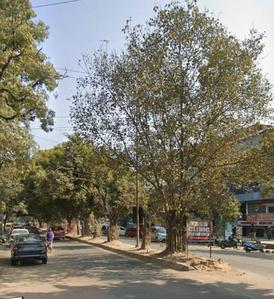 Ruchi Khand 2 Plot View 2