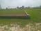 Gosainganj Plot View 2
