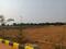 Shadnagar Plot View 2