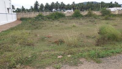 Karamadai More Images 2