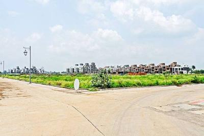 Residential Plot