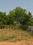 Gandiguda Main Image 1
