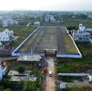 Plot View