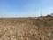 Chincpada Plot View 2