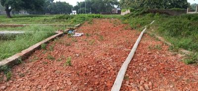 Rohania Plot View 2