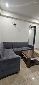 Hall Image of 1200 Sq.ft 1 BHK Builder Floor for rent in Sector 17 Gurgaon for Rs. 34000