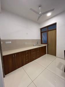 Kitchen Image of 1850 Sq.ft 3 BHK Apartment / Flat for rent in Vihav Elinor, New Alkapuri Vadodara for Rs. 30000