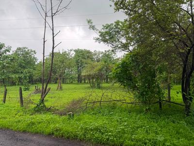 Image of 43560 Sq.ft Residential Plot / Land for sale in Murbad, Thane for Rs. 5000000