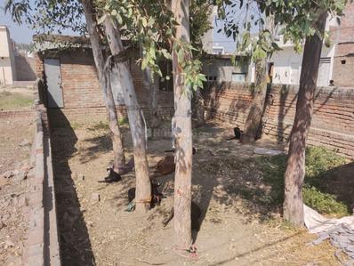 Image of 1164 Sq.ft 2 BHK Independent House for sale in Vasant Vihar, Karnal for Rs. 3500000
