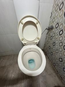 Bathroom Image of 980 Sq.ft 2 BHK Apartment / Flat for sale in Moshi Pune for Rs. 7000000