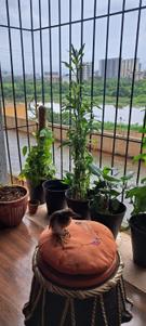 Balcony Image of 670 Sq.ft 1 BHK Apartment / Flat for sale in Taloja Navi Mumbai for Rs. 4600000