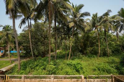 Image of 500 Sq.ft 1 RK Apartment / Flat for rent in Colva, Goa for Rs. 18000