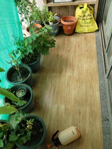 Living Room Image of 1755 Sq.ft 3 BHK Apartment / Flat for sale in Pearl 167, Shilaj Ahmedabad for Rs. 13000000