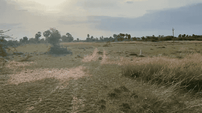 Image of 43500 Sq.ft Residential Plot / Land for sale in Kariapatti, Virudhunagar for Rs. 2500000
