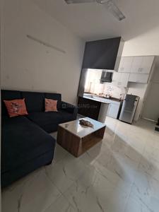 Hall Image of 500 Sq.ft 2 BHK Apartment / Flat for sale in Pivotal Riddhi Siddhi, Sector 99 Gurgaon for Rs. 6500000