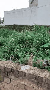 Image of 435 Sq.ft Residential Plot / Land for sale in Pandra, Ranchi for Rs. 1500000