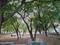 Ruchi Khand 1 Plot View 2