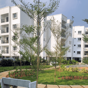 2 BHK Flat