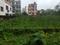 Bikash Guha Colony, Nayabad Plot View 2