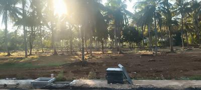 Image of 1200 Sq.ft Residential Plot / Land for sale in Madaragalli, Mysore for Rs. 3840000
