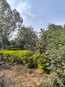 Image of 3960 Sq.ft Residential Plot / Land for sale in Thaltej, Ahmedabad for Rs. 44000000