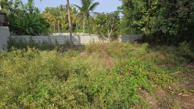 Manasa Tej Plot View 3