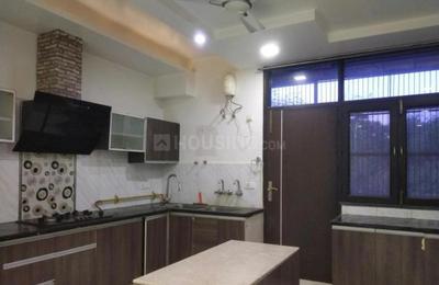 Block D Plot View 1