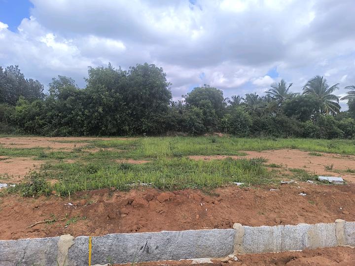 Devanahalli Main Image 1