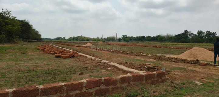 Balianta Main Image 1