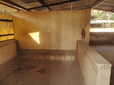 Image of 3500 Sq.ft 4 BHK Independent House for sale in Sindhi Society, Chembur, Mumbai for Rs. 57500000