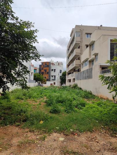 Amrutahalli Main Image 1