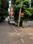 Kothanur Main Image 1