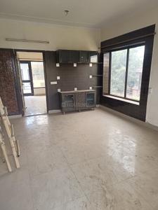 Hall Image of 1250 Sq.ft 2 BHK Builder Floor for rent in Palam Vihar Gurgaon for Rs. 28000