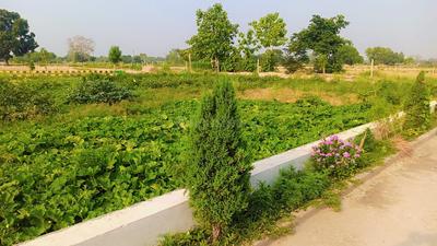 Sector 6 Plot View 2