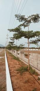 Image of 1000 Sq.ft 2 BHK Builder Floor for sale in Yellamanchili, Visakhapatnam for Rs. 2800000