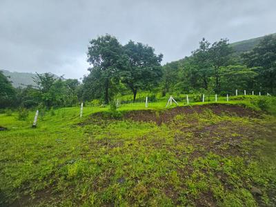 Image of 260000 Sq.ft Residential Plot / Land for sale in Varasgaon, Pune for Rs. 65000000