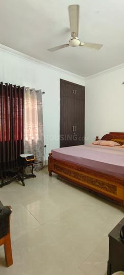 Comfort green Main Image 1