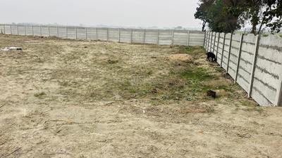 Babatpur Plot View 2