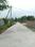 Apparent JB Garden Internal Roads 1