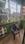 Green peace enclave Balcony 1