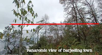 Image of 9000 Sq.ft Residential Plot / Land for sale in Samalbong, Darjeeling for Rs. 990000