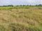 Dasna Plot View 2