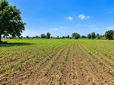 Image of 1896 Sq.ft Residential Plot / Land for sale in Sherisa, Kalol for Rs. 28000000